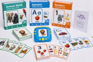 Talking Flash Cards product sets wholesale from Shenzhen factory